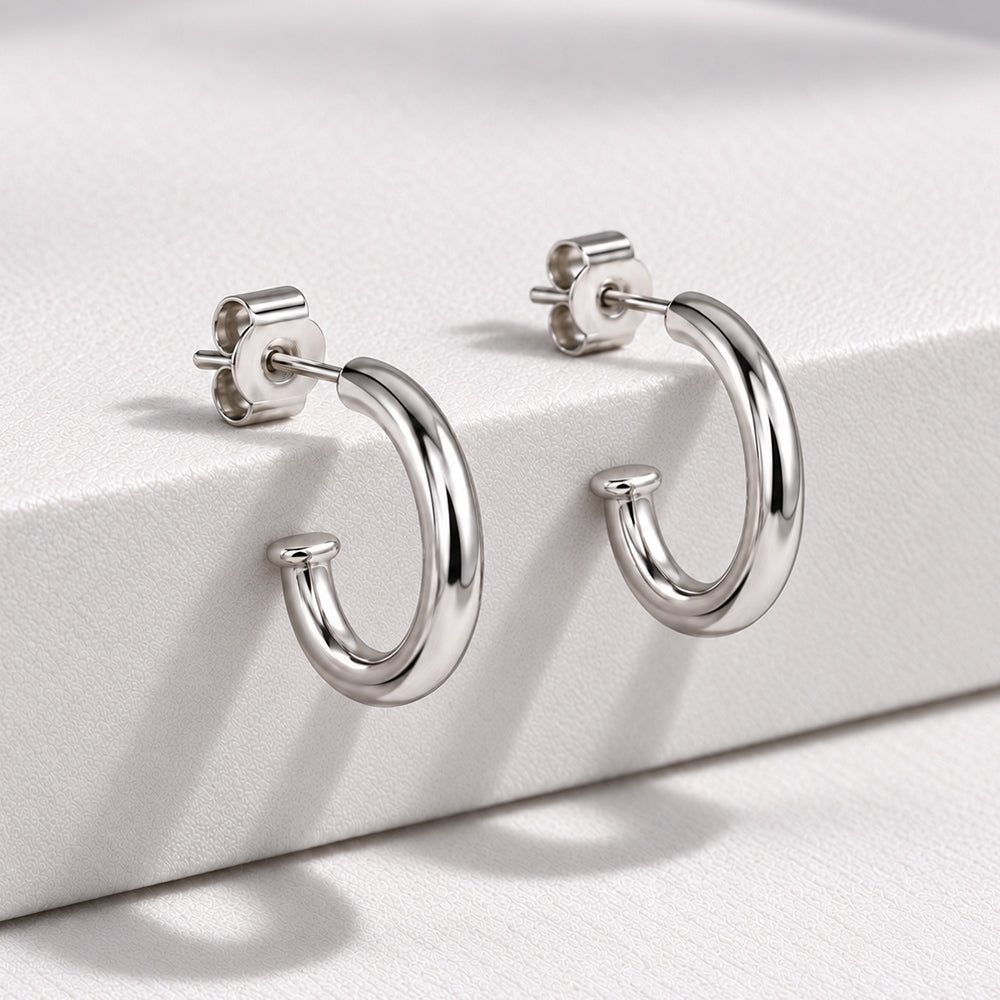 Platinum Earrings