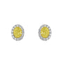 0.76ct Oval Yellow Diamond Cluster Stud Earrings in 18ct White Gold