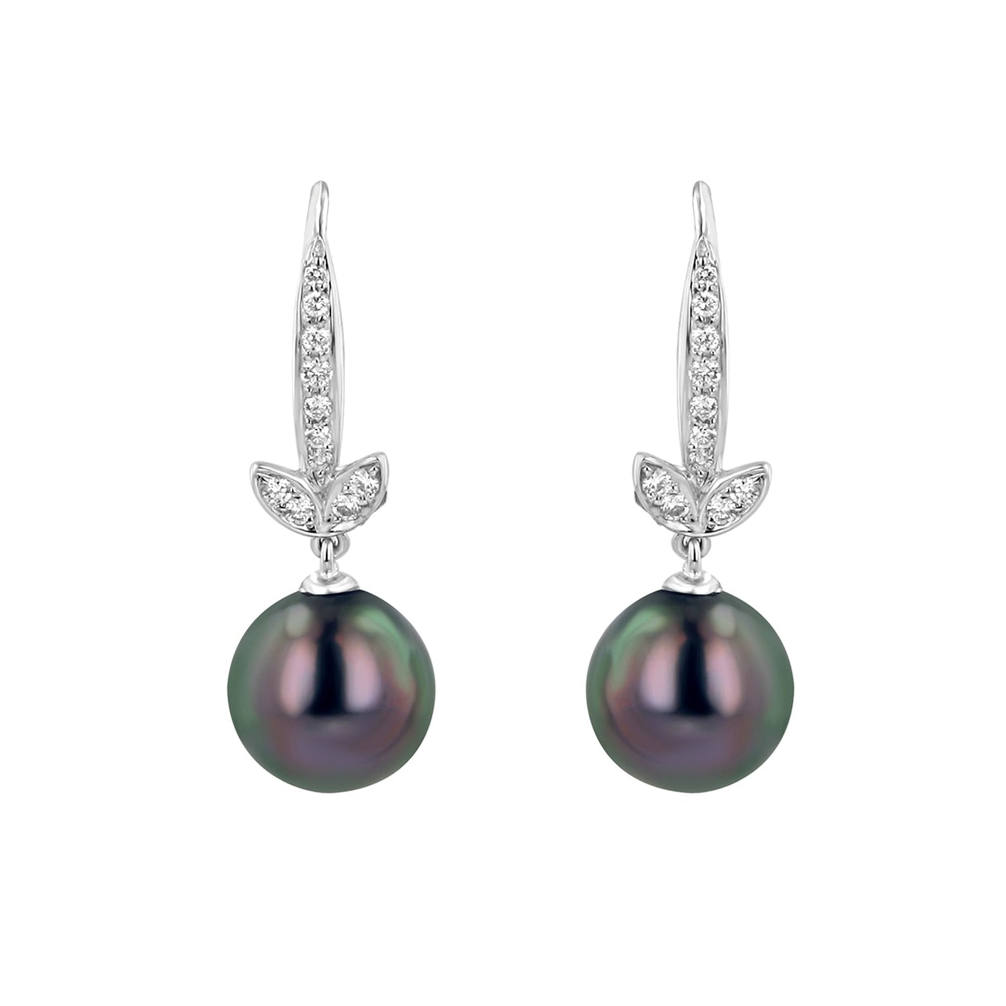 Tahitian Pearl and Diamond Earrings EWD37119