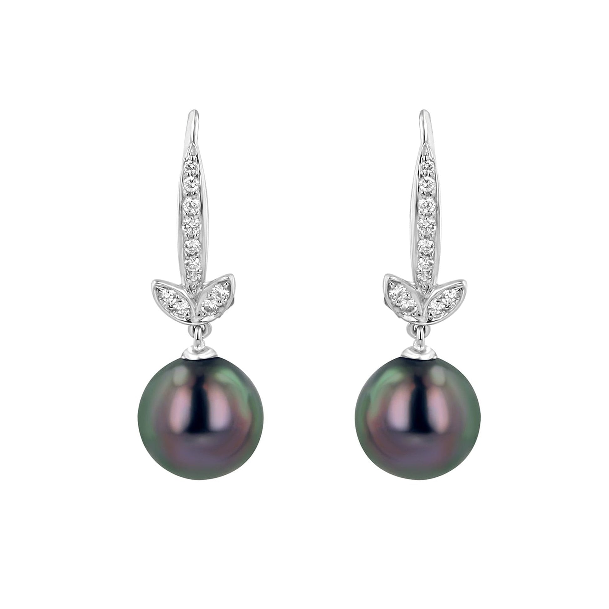 Tahitian Pearl and Diamond Earrings EWD37119