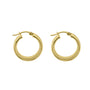 9ct Yellow Gold Polished Finish 15mm D Shaped Hoop Earrings