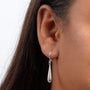Elongated Teardrop French Hook Earrings