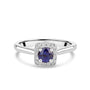 Platinum Dress Ring with 0.64ct Round Brilliant Cut Sapphire And Diamond Halo