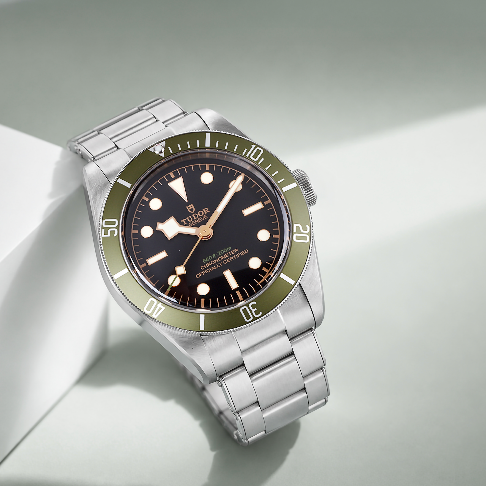 Tudor Black Bay Harrods 41mm Pre-Owned Watch
